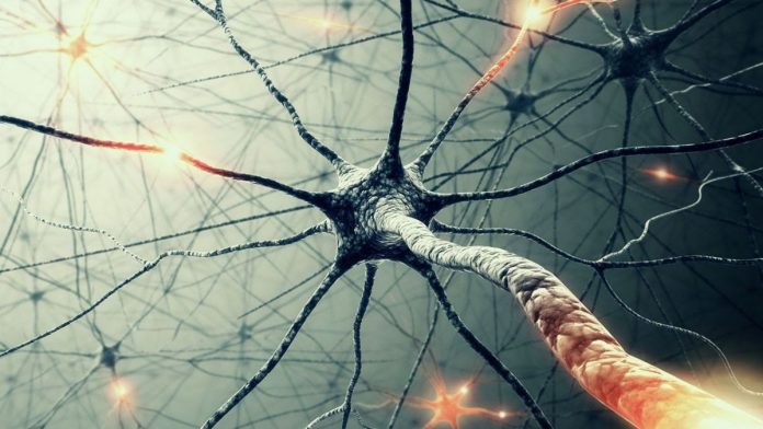 neuralnetworks1