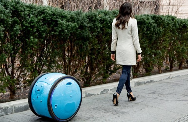2-7robotluggage-2