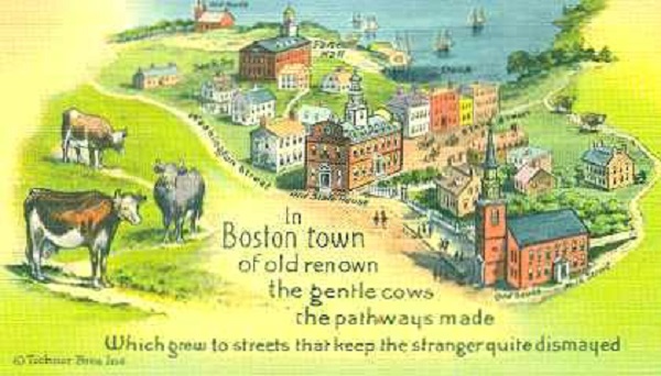 11-28cow-paths-2