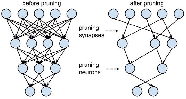 12-22Pruning-2