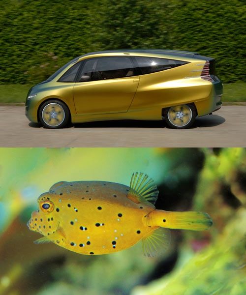 12-8Biomimicry-1