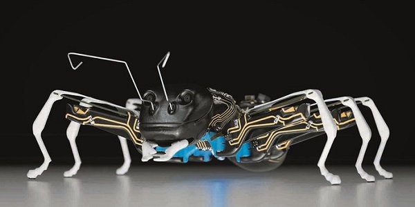 4-10AntLikeRobot-2