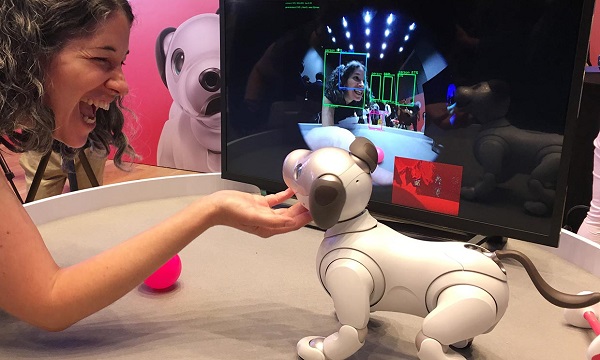 sony robot puppy