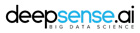 deepsense-ai deepsense-ai