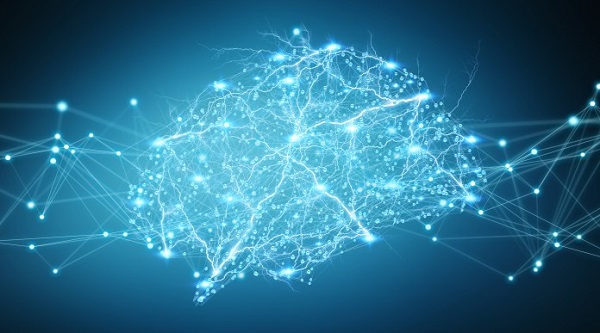 Human brain digital x-ray 3D rendering