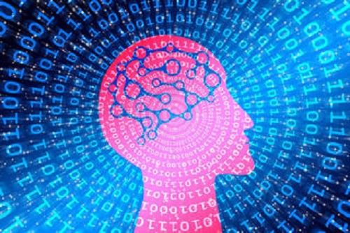 7-5Neuroscience-2