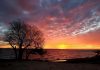 Multi-Cloud Strategy a Fit for Large Enterprises; Wells Fargo Finding It Helps to Have Flexibility to Move Data