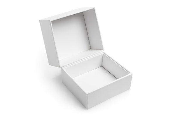 Why Your Company Needs White-Box Models in Enterprise Data Science 1