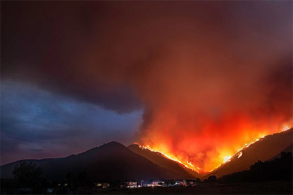 Wildfire