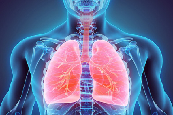 3D illustration of Lungs, medical concept. AI-Based Tools Predict COVID-19 Disease Severity 1