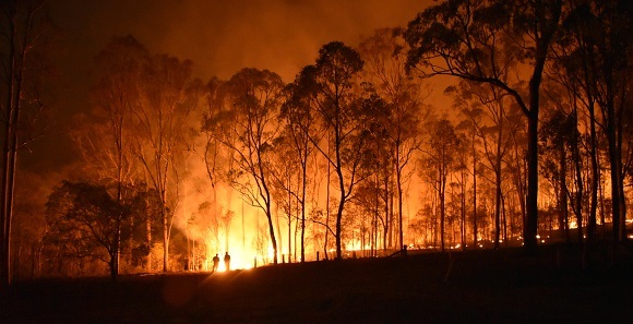 Fire