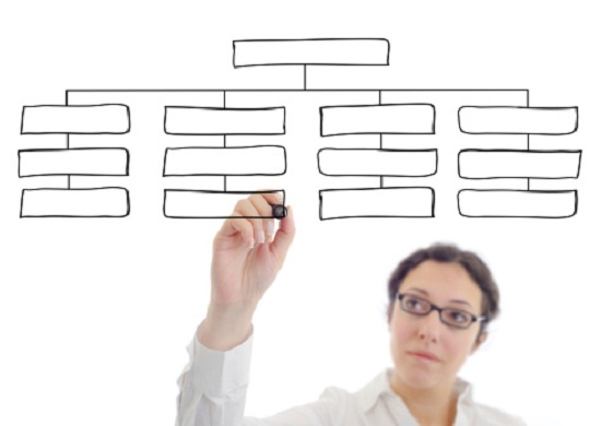 Chief Data Scientist Seen as Bridging CTO to Business Managers
