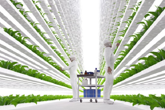 Vertical Farming 3D Illustration