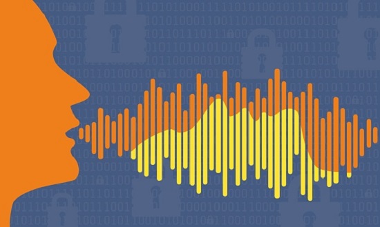 voice ID security illustration of profile head with matching profile in password audio wave vector graphic of biometric security technology